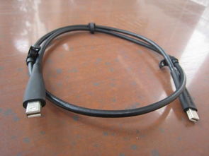 DisplayPort 音視頻線 高清數字傳輸的骨干